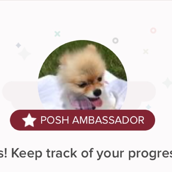 Officially a Poshmark Ambassador!!! - Picture 1 of 1